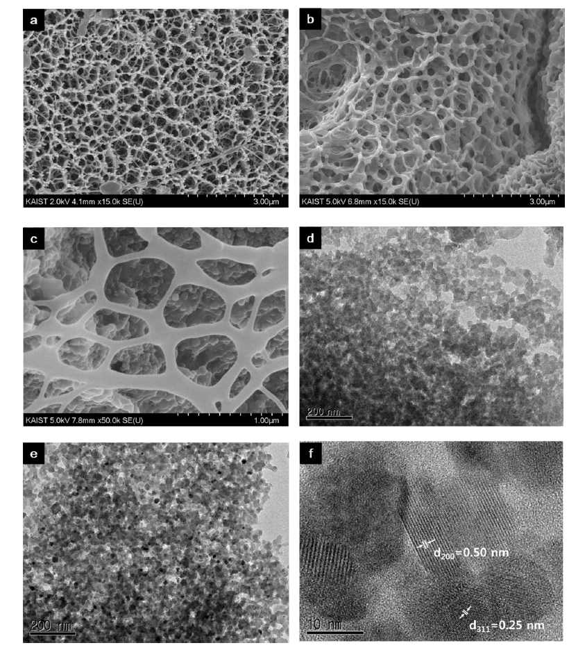 (a) PVA-gel과 (b), (c) MHPVA의 SEM 사진. (d) HPVA와 (e) MHPVA의 TEM 사진. (f) MHPVA의 고배율 TEM 사진