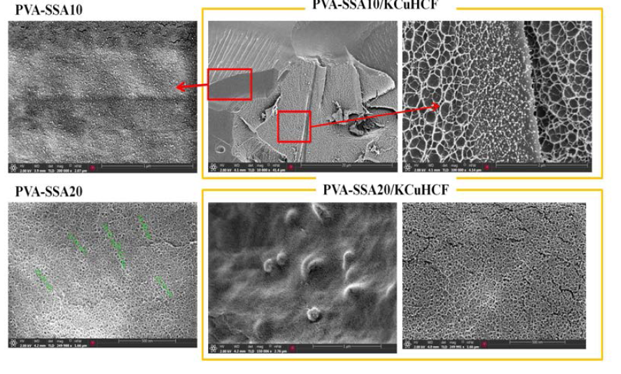 PVA-SSA10 or 20/KCuHCF의 형태학적 분석