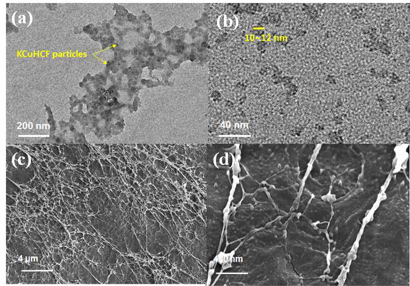 (a) (b) HCF-gel의 TEM 이미지. (c) (d) HCF-gel의 SEM 이미지