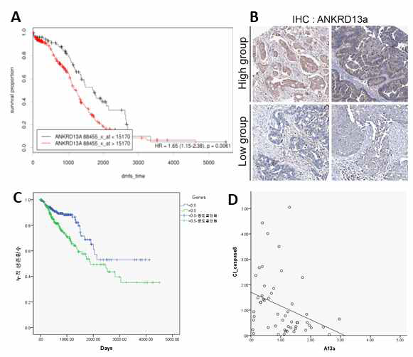 환자의 ANKRD13a 발현과 평균 생존률