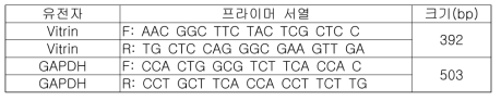 primer 서열