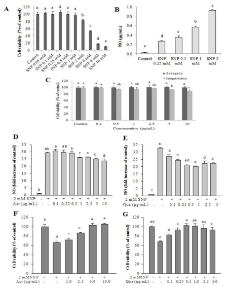 Effect on cell viability of SNP(A), cell viability of astragalin(Ast) and isoquercitrin(Que, C) and NO formation by SNP(B). Effect of astragalin and isoquercitrin on SNP-induced NO(D, E) and on SNP-induced cell death(F,G) in SK-N-SH. The values are expressed as the mean ± SD (n = 3), and the means with different letters are significantly different from each other (P < 0.05), as determined by Duncan‘s multiple range test