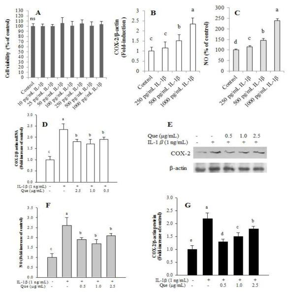 Effect on cell viability, COX-2 and NO levels of IL-1β(A-C) in SK-N-SH. Effect of astragalin and isoquercitrin on SNP-induced COX-2(D, E, G) and on SNP-induced NO increase(F) in SK-N-SH. The values are expressed as the mean ± SD (n = 3), and the means with different letters are significantly different from each other (P < 0.05), as determined by Duncan‘s multiple range test
