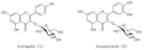 Astragalin(1)과 isoquercitrin(2)의 화학구조
