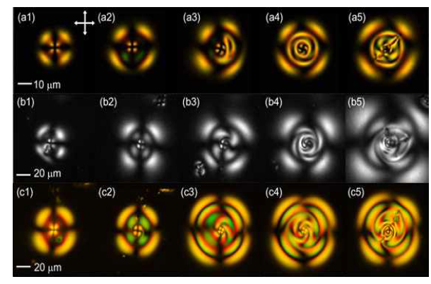 편광 현미경 사진들로 조건에 따라 결함의 모양이 변하는 모습을 보여 주고 있다. (a1)-(a5) a 시리즈: 입사광의 세기가 0 mW 에서 2.5 mW로 변화할 때 결함의 변화 모습을 보여준다. (b1)-(b5) b 시리즈: 입사광의 세기가 1.6 mW로 고정된 상태에서 액정 층의 두께를 두꺼워 지는 쪽으로 변화시켰을 때 결함의 변화 양상을 보여준다. (c1)-(c5) c 시리즈: 입사광의 세기가 1.0 mW로 고정된 채 액정 샘플의 온도를 (c1) 30 °C, (c2) 32 °C, (c3) 37 °C, (c4) 56 °C, (c5) 65 °C로 올렸을 때 결함이 변화를 보여주고 있다