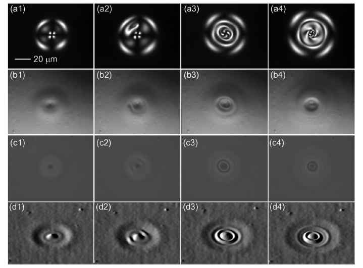 레이저 광흡수에 의한 온도 상승으로 인한 Marangoni 표면에 형성되는 변조. (a1)–(a4) a 시리즈: (a1) 1.26 mW, (a2) 2.80 mW, (a3) 3.29 mW, (a4) 4.7 mW의 레이저 광이 입사할 때 결함변조 구조의 변화를 보여주는 편광 현미경 사진, (b1)–(b4) b 시리즈: 현미경 광원이 액정필름 표면에 비스듬하게 입사할 때, (c1)–(c5) c 시리즈: 수직으로 입사할 때 표면을 보여주는 현미경 사진 (d1)–(d5) d 시리즈: 각각에 해당하는 전산 모사 결과