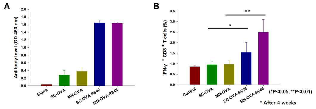OVA 항원과 R848을 함유한 자가조립 나노입자 방출형 용해성 마이크로니들의 치료용 백신 효과. (A) OVA특이적 항체 형성; (B) 항원 인식 면역 T세포(IFN-γ+ CD8+ T cell)의 생성