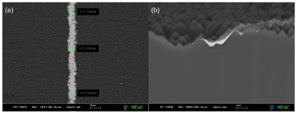 전기방사를 응용한 10 μm급 초미세 핑거전극의 전자현미경 이미지, (a) 선폭 및 (b) 두께