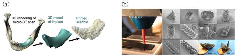 (a) 3차원 디스펜싱 기술의 의료분야에의 응용 및 (b) 3차원 구조물 제작