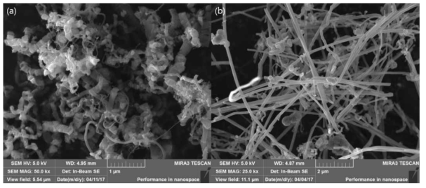 (a) 카본 나노파이버 A (직경 50~300 nm, 길이 10~30 μm) 및 (b) 카본 나노파이버 B (Pyrograph사, 직경 100 nm, 길이 20~200 μm)