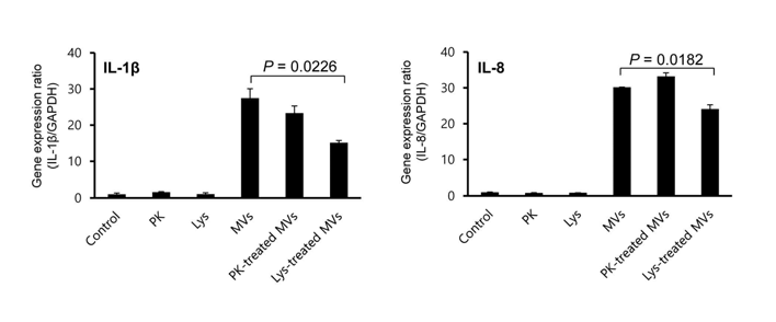 Expression levels of IL-1β and IL-8 genes in Caco-2 cells treated with L. monocytogenes MVs