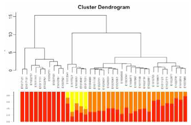 cluster dendrogram