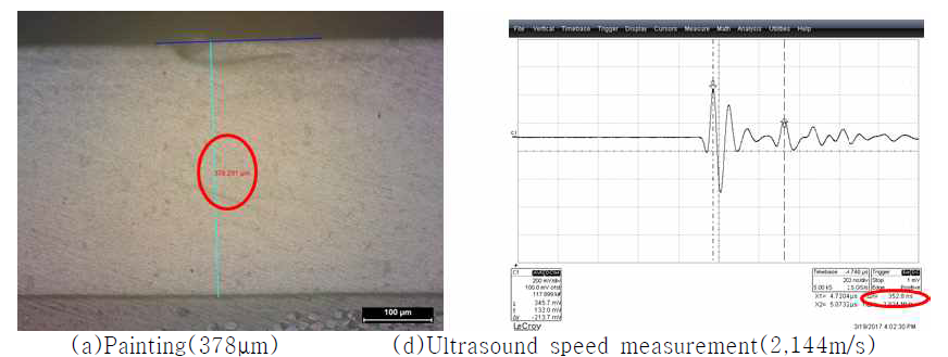 Painting microscope photo and ultrasound speed measurement