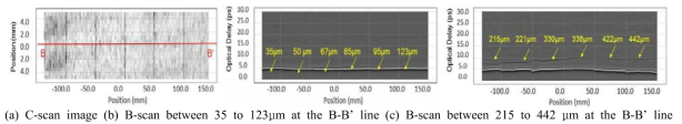 C-scan and B-scan image and time-domain signal on the painting of GFRP composites for T-ray reflection mode