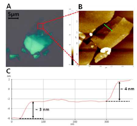 이차원 CIPS의 구조적 특성 측정 및 관찰 A. 광학현미경 이미지. B. 그림 A의 빨간 사각형 안 영역에 해당하는 AFM topography 이미지. C. 그림 B에 표시한 녹색선에 따른 높이 변화. 가장 낮은 기판 표면을 제외하고 수 nm 두께의 두 개층을 관찰할 수 있다