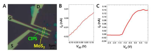 이차원 MoS2-CIPS 융합구조기반 3-terminal FET 소자 특성. A. 소자의 광학현미경이미지 (S-Source, D-Drain, 그리고 G-Gate). B. Drain current vs. Source-Drain voltage. C. FET 특성 그래프, Drain current vs. Gate voltage