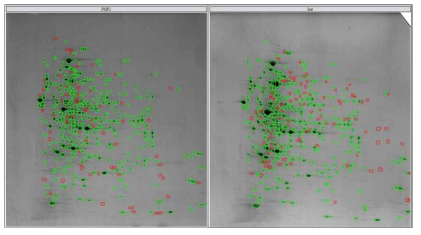 non-induced cell of MRG-PMF1 (a)과 induced cell of MRG-PMF1 (b)에서의 발현 효소의 차이 (초록색 표시는 동시에 발견되는 효소이며, 빨간색 표시는 한쪽에서만 발견되는 효소들)
