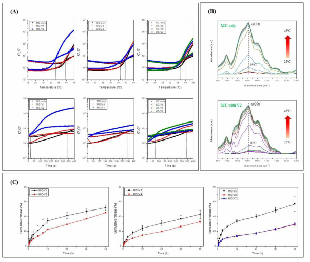 수용성 비타민 유도체가 도입된 MC 수화젤의 특성분석; (A) 젤화거동(젤화온도/시간), (B) ATR-IR, (C) 약물방출거동