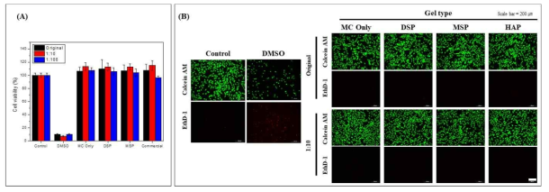 인산칼슘 나노입자가 도입된 MC 수화젤의 세포독성 평가; (A) 세포생존율, (B) Live & Dead assay