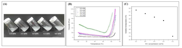 고분자량 MC(cP 400)을 이용한 젤화거도이 (A) 농도에 따른 수용액의 색상변화, (B) 온도변화에 따른 점도변화, (C) 농도에 따른 젤화온도 변화