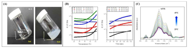 온도변화에 따른 MC 수용액의 젤화거동; (A) 수용액의 색상변화, (B) 농도에 따른 젤화온도(좌) 및 젤화시간(우) 변화, (C) ATR-IR 결과