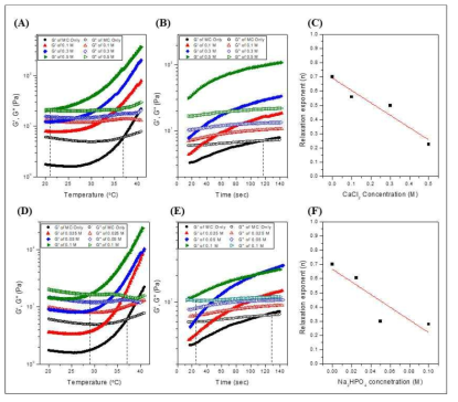 염 첨가에 따른 MC 수용액의 젤화거동; (A-C) CaCl2 첨가, (D-F) Na2HPO4 첨가