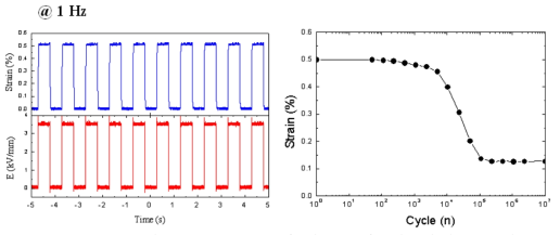 결정 배향형 BNKT-BA 압전 액추에이터의 1 Hz에서 변위 특성 및 피로 특성