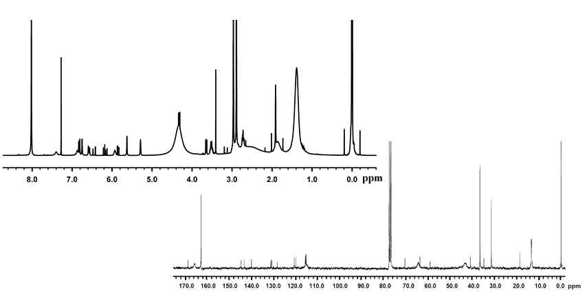 NMR spectra of Poly(DMA-co-MEA-co-ECA)(PDMC)