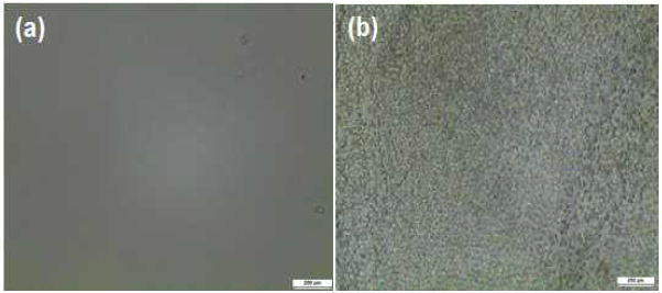 Optical microscopy images of complex coacervates: (a) blended polymer and (b) blended polymer with cation(V5+)
