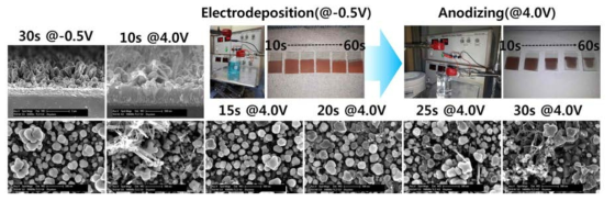 Cu 전기도금(@-0.5V) 및 양극산화 CuO nanowire 합성 결과