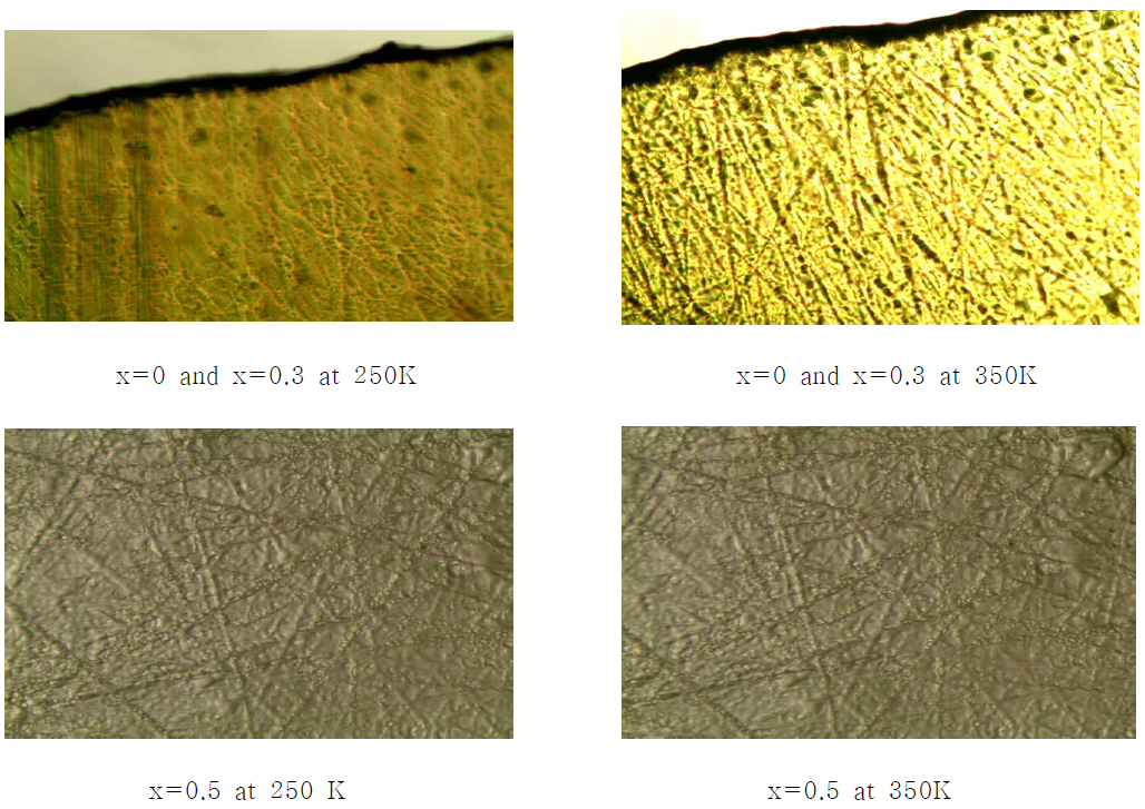 Domain wall patterns of [N(CH3)4]2Zn1-xCuxCl4 (x=0, 0.3, and 0.5) obtained with optical polarizing microscopy at 250 K and 350 K