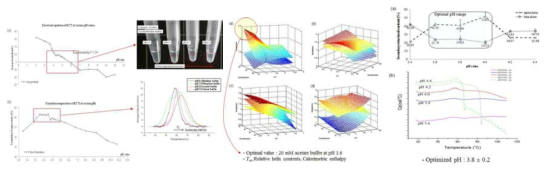 pH 변화에 의한 모델단백질의 물리화학적 안정성 평가 결과: (a) zeta 전위 및 이에 대한 단백질 응집, (b) 열역학적 안정성 지표 (Tm): (a) acetate, (b) citrate, (c) histidine, (d) phosphate buffer에서 transition temperature (Tm), calorimetric enthalpy (ΔH), relative helix contents를 이용한 response surface plot 결과
