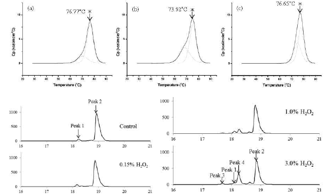 과산화수소 농도변화에 의한 모델단백질의 산화반응에 대한 열역학적 평가 및 SEC 결과