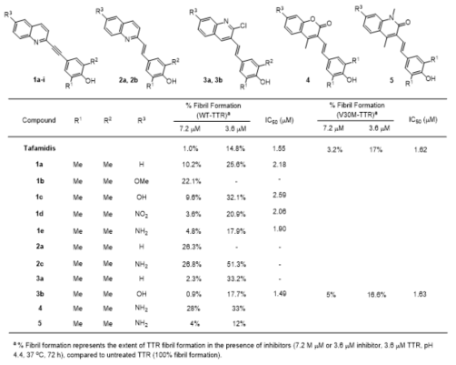혼탁도를 통한 대표적인 quinoline 유도체, coumarin 유도체 및 quinolone 유도체의 WT-TTR의 아밀로이드 형성 억제능 비교