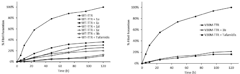 저분자화합물과 Tafamidis에 의한 TTR (WT-TTR, V30M-TTR)의 아밀로이드 형성 억제능