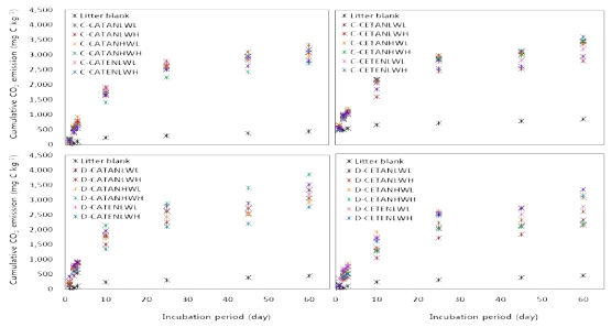 항온배양 기간 동안 소나무와 굴참나무 낙엽을 투입한 토양으로부터의 누적 CO2 방출량