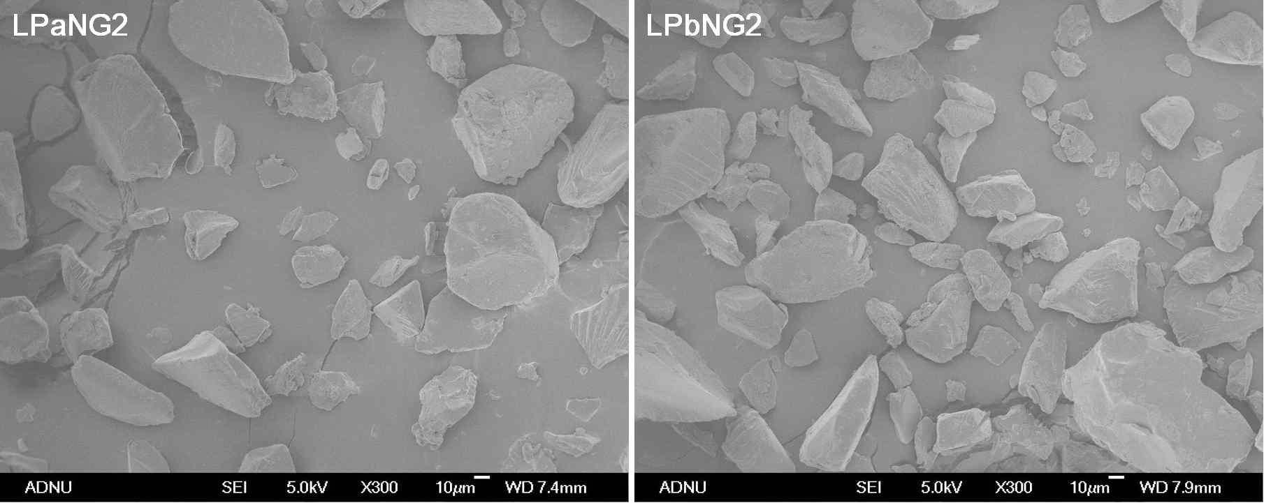SEM images of control and starch citrates (LPaNG0-2 & LPbNG0-2) prepared through MLT plasma treatments
