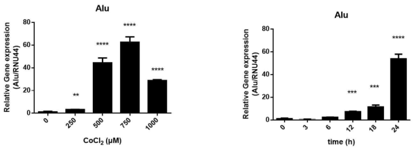 Alu RNA is accumlated during CoCl2 treated chemical hypoxia in T98G cells