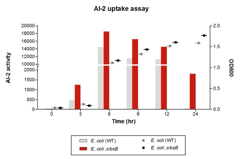 RbsB 녹아웃 균주가 정상균주에 비해 정족수 전달물질 AI-2를 흡수하는 rate 가 감소하는지 확인