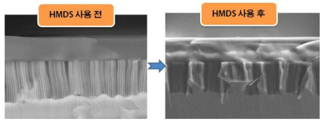 HMDS spin-coating 사용 유무
