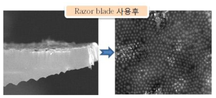 실리콘 기판에서 실리콘 나노와이어 분리 후 표면(우), 측면(좌) SEM 사진