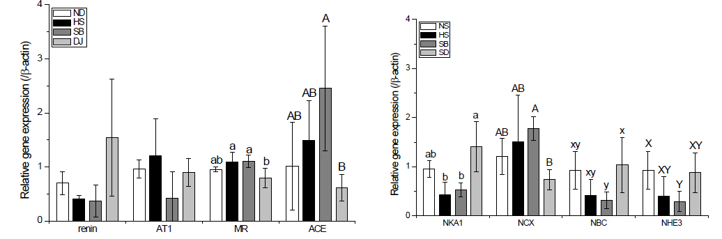 Relative gene expressions in kidney cortex of rats fed with doenjang