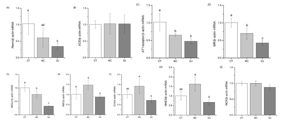 Relative gene expressions in kidney cortex of rats fed with ganjang