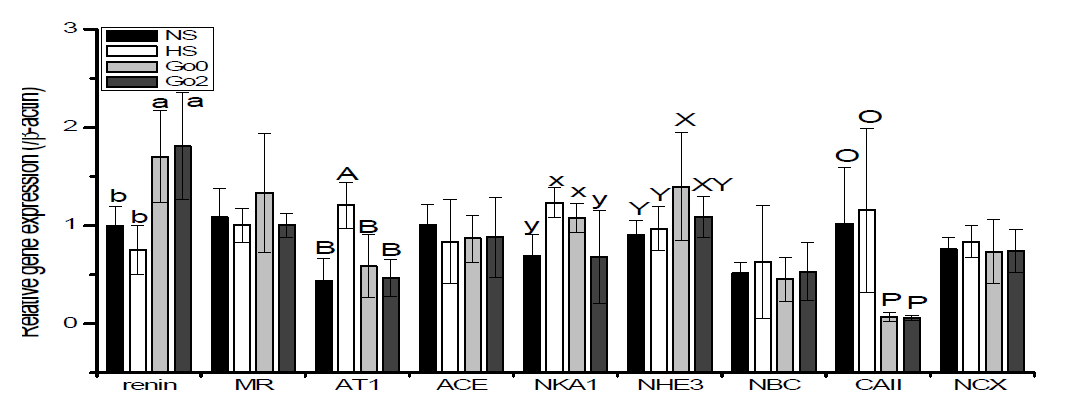 Relative gene expressions in kidney cortex of rats fed with gochujang