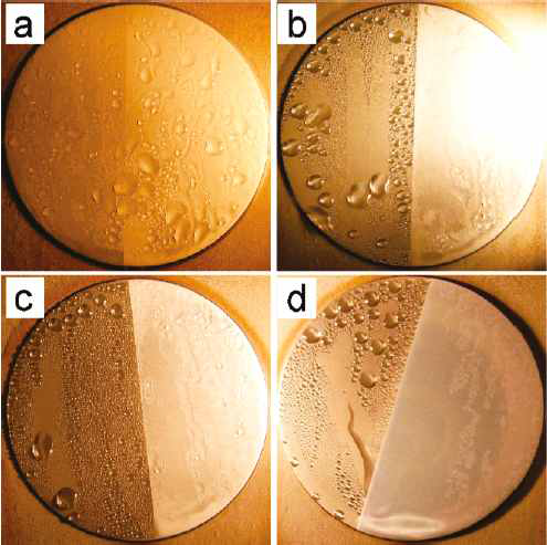 Condensation forms after about 24h of condensation for polished Al6951 samples simplanted with (a) At+, (b) C+, (c) O+, (d) N+ on the left half