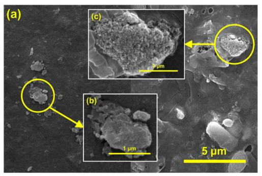 치료병실 폐수 처리 후의 FO 막 표면의 SEM image 분석 (a) 막오염층 표면 (b) 유기물 형태의 막오염층 (c) scale 형태의 막오염층