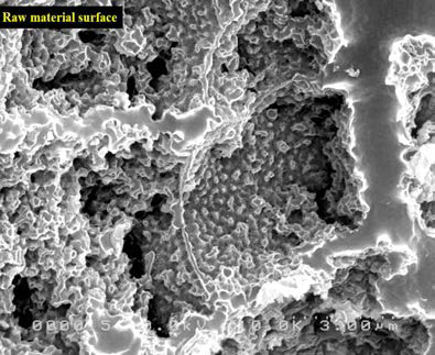 SEM images of porous alumina structures using a raw aluminum material