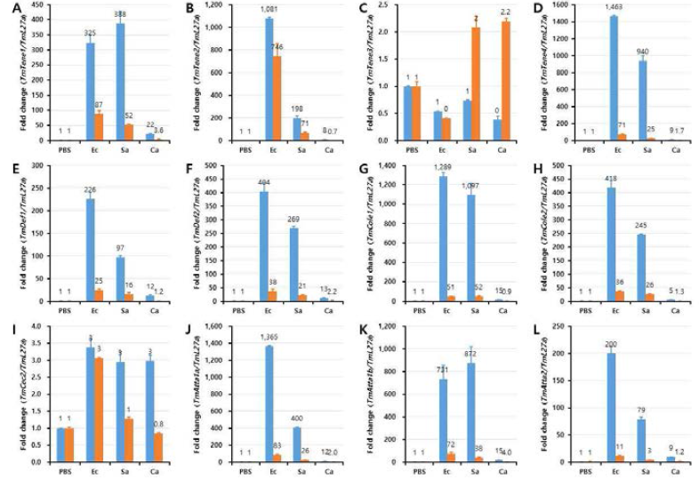 AMP induction patterns against TmTmIKKβ2-silenced T. molitor larvae in response to pathogenic microbial injection