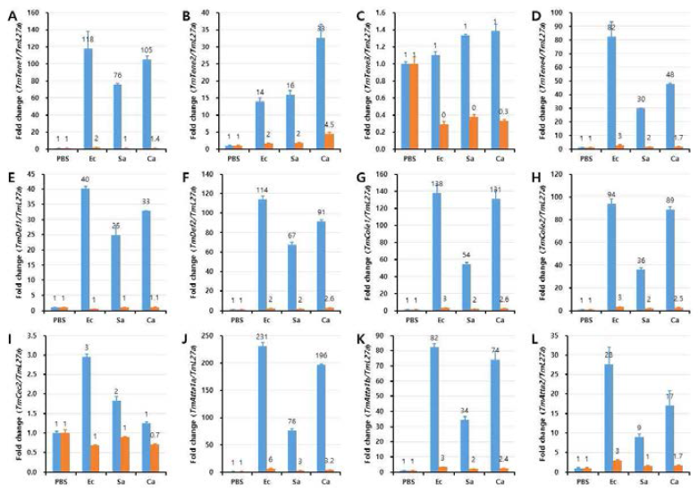 AMP induction patterns against TmTmIKKβ2-silenced T. molitor larvae in response to pathogenic microbial injection