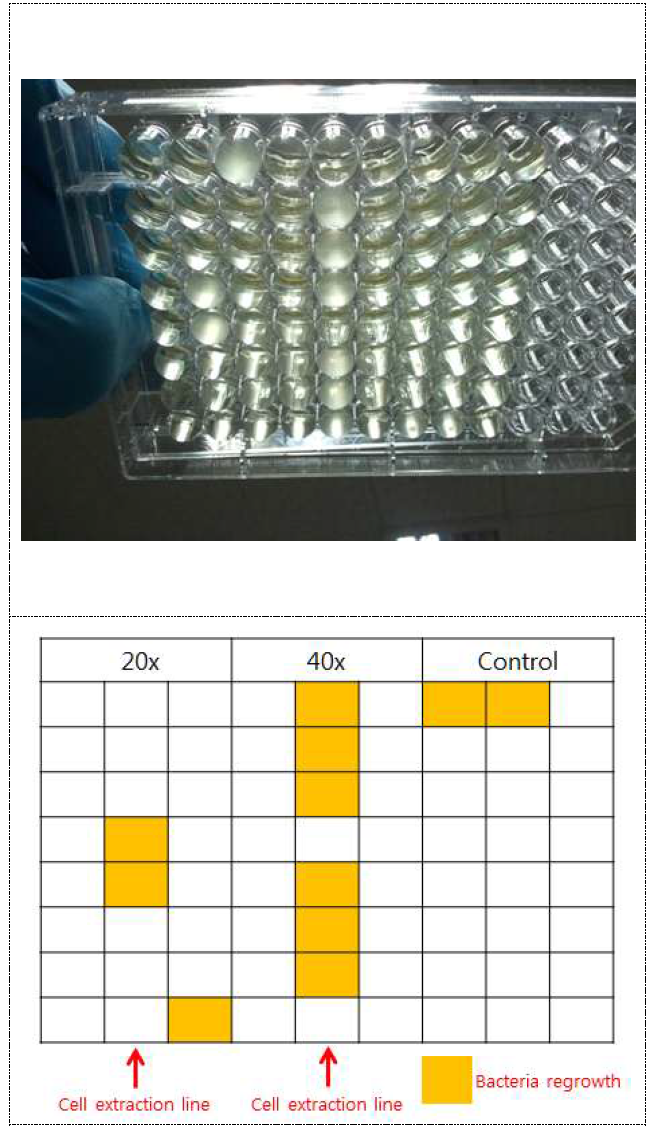 레이저를 이용한 박테리아 콜로니 추출 초점거리: d=6.86mm(20×), d=4.56mm(40×)